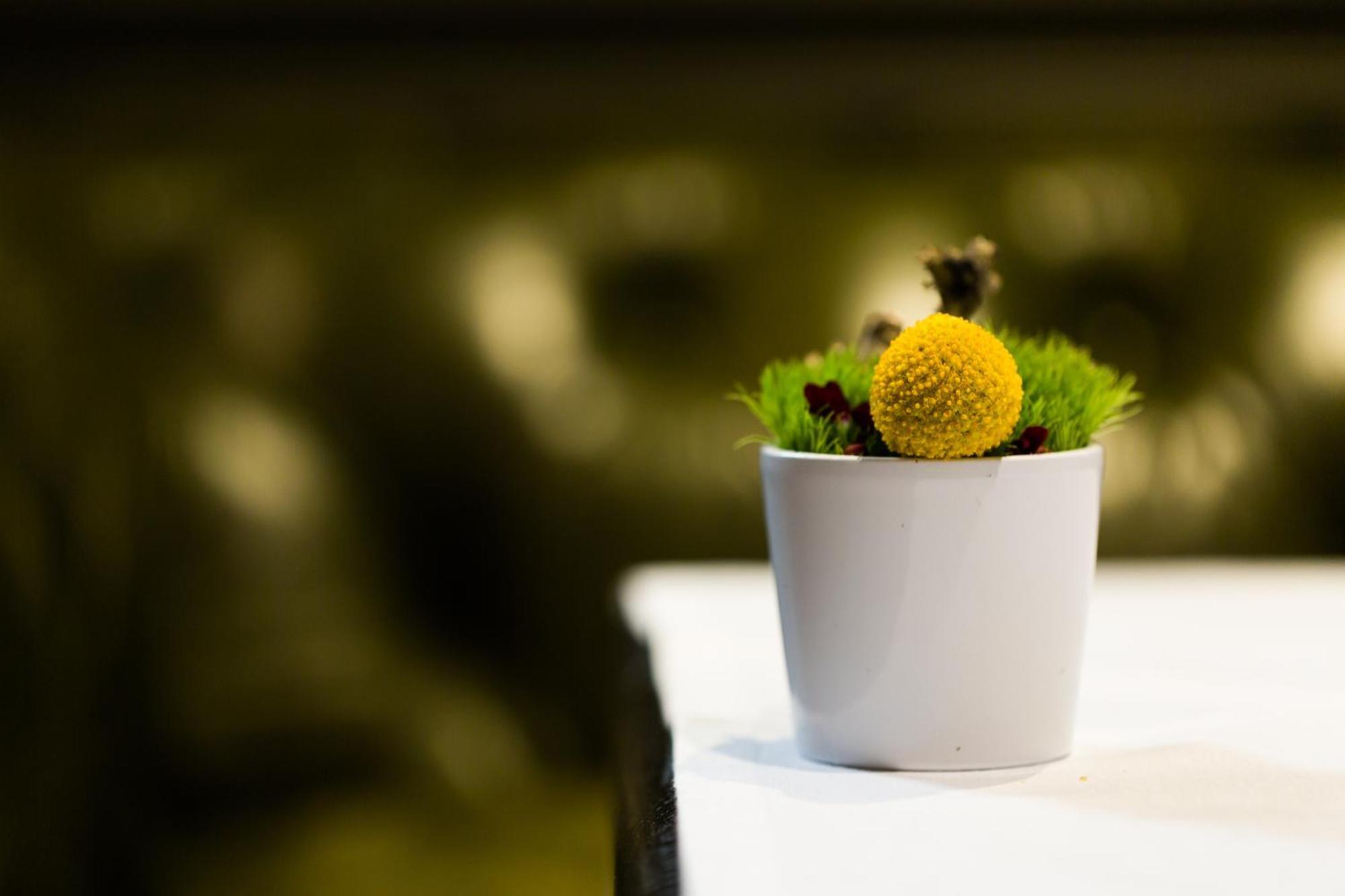 La Cour Des Consuls Hotel And Spa Toulouse - Mgallery מראה חיצוני תמונה
